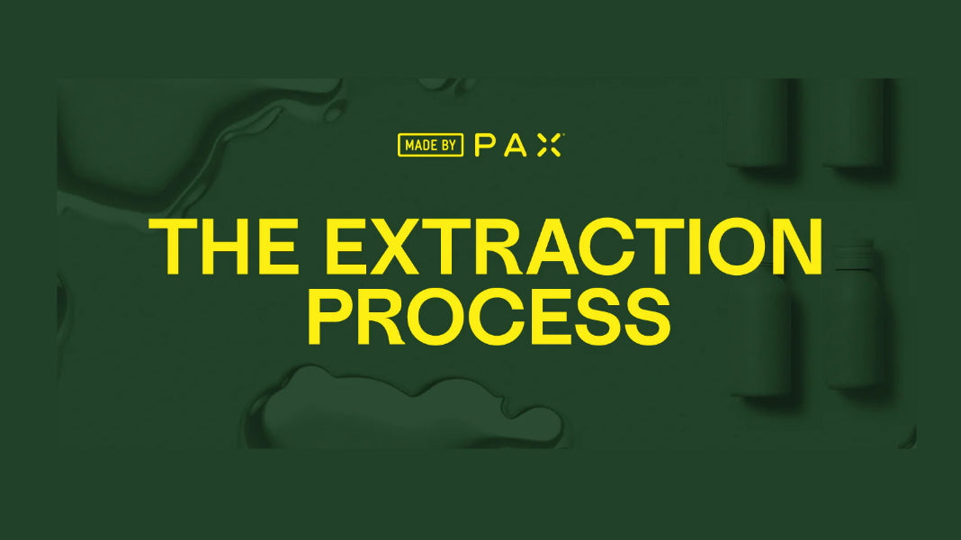 Extraction Process Blog Image