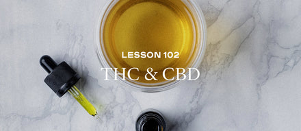 PAX Academy – Lesson 102: THC & CBD