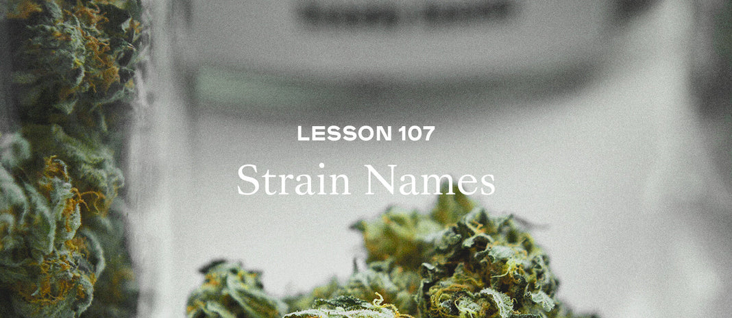 PAX Academy – Lesson 107: Strain Names