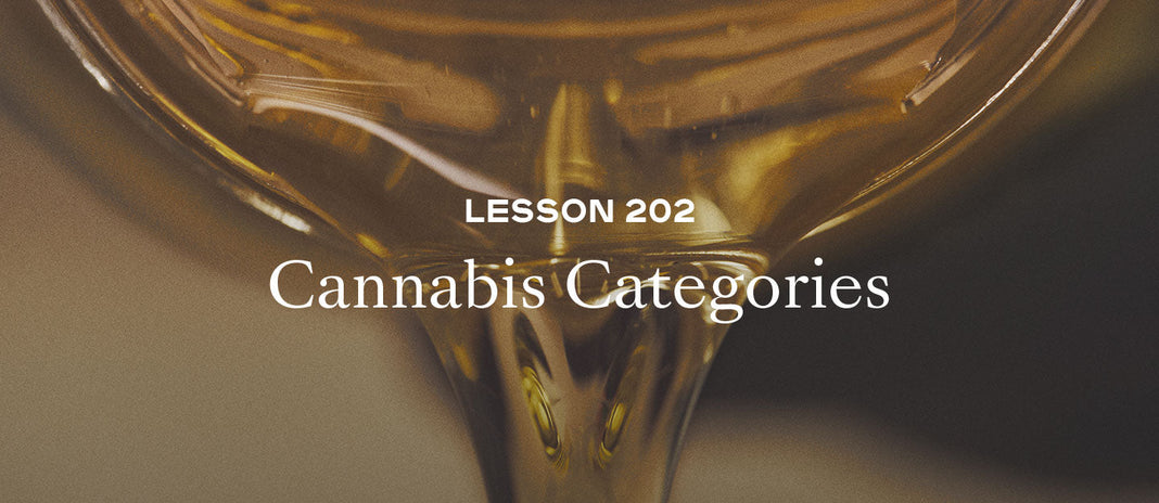 PAX Academy – Lesson 202: Cannabis Categories