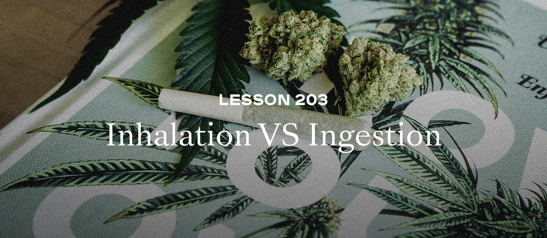 PAX Academy – Lesson 203: Inhalation vs Ingestion