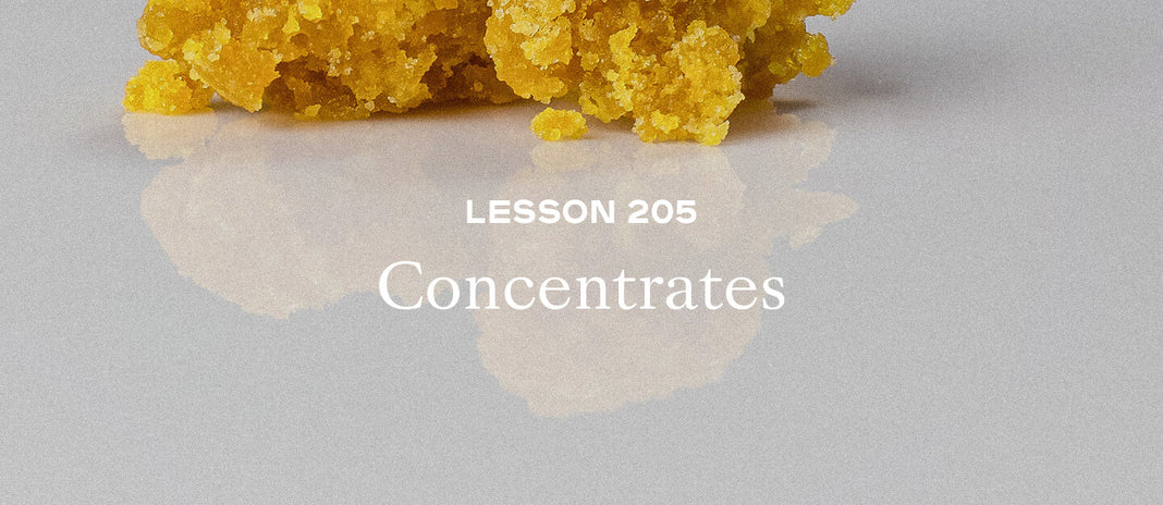 PAX Academy – Lesson 205: Concentrates
